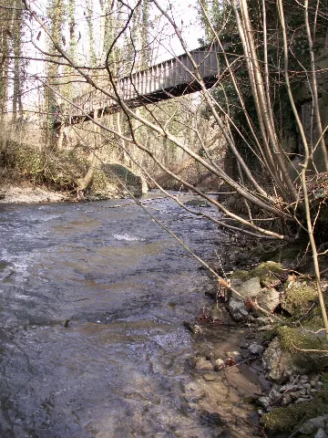 Duessel Im Neandertal