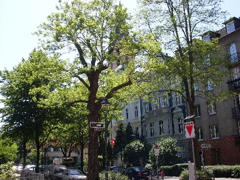 Düsseldorf Unterbilk Florastr