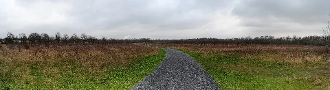 Duisburg, Toeppersee, 2009 12 Cn 01