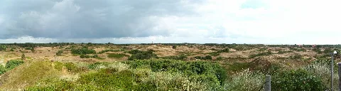 Dunes At Spiekeroog