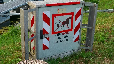 Each Dog Will Be Killed By Lightning Panoramio