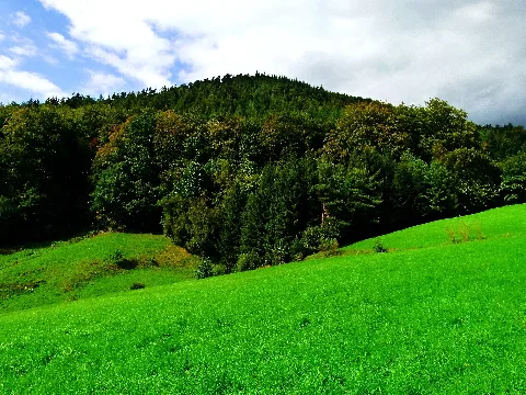Early Autumn In Southwest Germany Panoramio