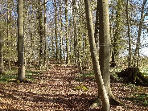 Ederseeweg Netzer Tiergarten (2)