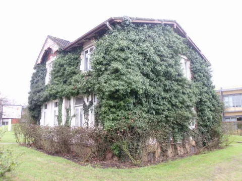 Efeu Frisst Haus Panoramio Arnold Schott