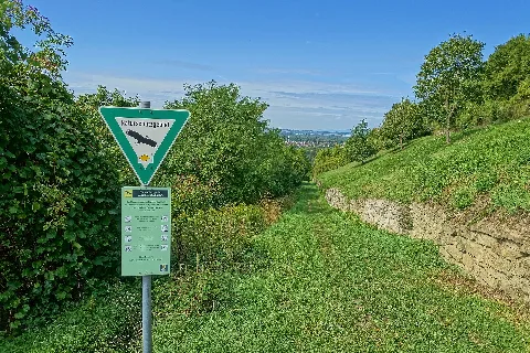 Efringen Kirchen Naturschutzgebiet Eichholz Buchholz Bild 1