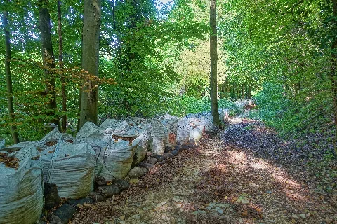 Efringen Kirchen Naturschutzgebiet Eichholz Buchholz Bild 7