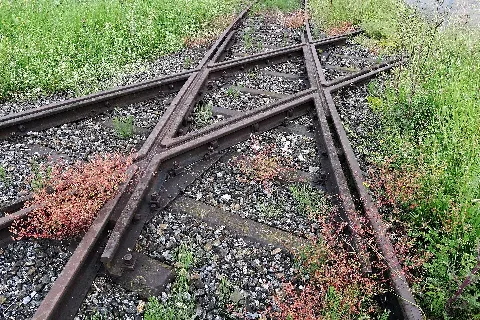 Egnach Standard Gauge Track Crossing (27582385012)