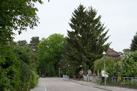 Egsdorfer Weg 20140506 20