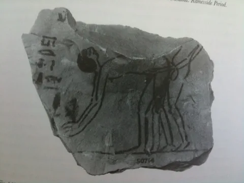 Egyptian Homosexual Ostraca