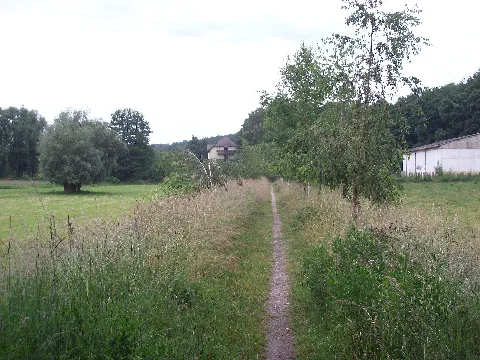 Ehem. Bahntrasse Zwischen Wulm Und Niedermülsen