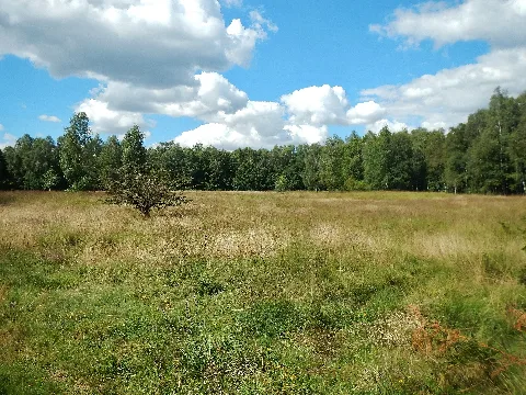 Ehemalige Innerdeutsche Grenze Bei Lübeck Schlutup Panoramio