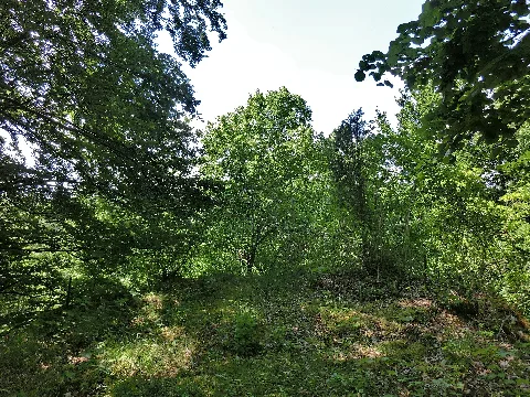 Ehemaliger Aussichtspunkt Wagnerfelsen Panoramio