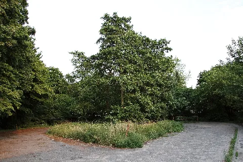 Ehemaliger Buswendeplatz, Lübeck, Schönböckener Straße Panoramio