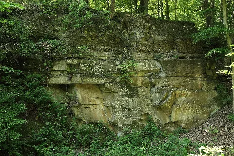 Ehemaliger Sandsteinbruch W Hoechberg