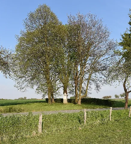 Ehemaliges Naturdenkmal Kastanie Im Kreis Soest In Lippetal Bei Hultrop An Der Straße Auf Dem Tigge