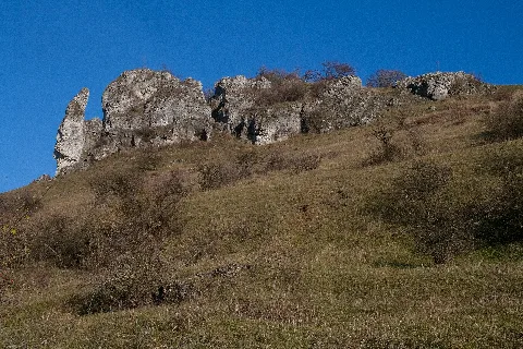 Ehrenbürg 07