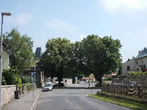 Ehringsdorfanger