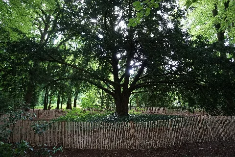 Heidschnuckenweg
