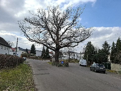 Hasenheide