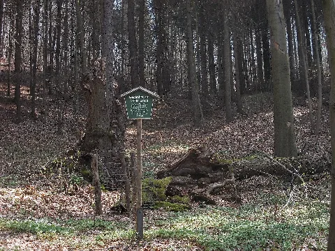 Eichgrund107Er