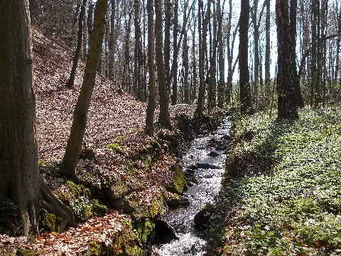 Eichgrundbach
