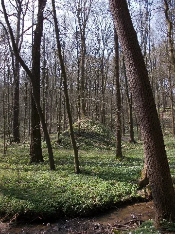 Eichgrundschießst