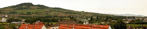 Eichkogel Panorama