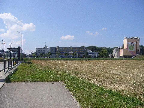 Eichruemlang 20120810I
