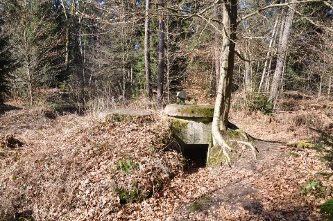 Einmannbunker Im Bienwald Schaidt (Pfalz)