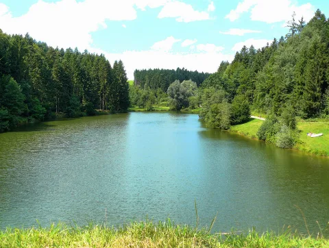 Eisenbachsee 01