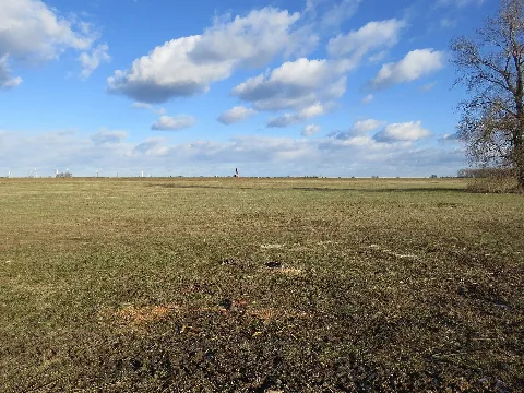 Prettin ist ein Ortsteil der Stadt Annaburg im Landkreis Wittenberg, dort gibt eine Fähre, die Prettin mit Dommitzsch verbindet