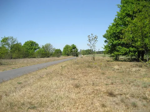 Elbe Meadows Near Elster Village. Panoramio