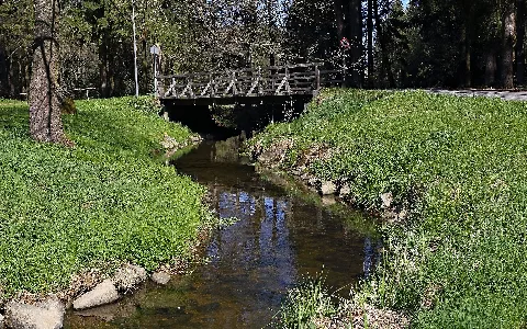 Elexenbach Bei Nondorf 2019 04