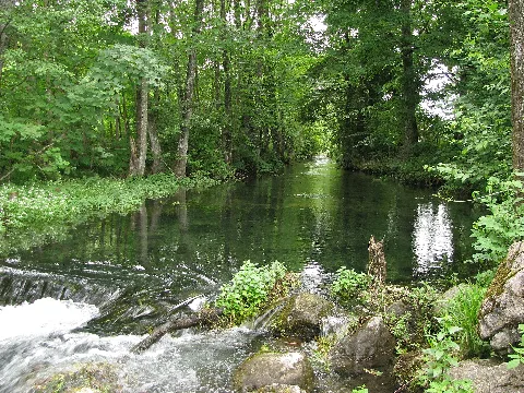 Ellbach (Isar) Go 1