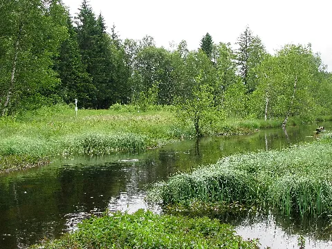 Ellbach (Isar) Go 3