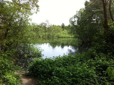 Ellerstadter Weiher 04