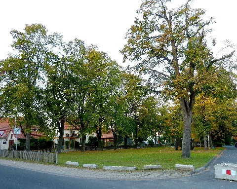 Elliehausen Anger