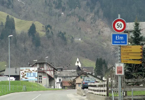 Elm 01