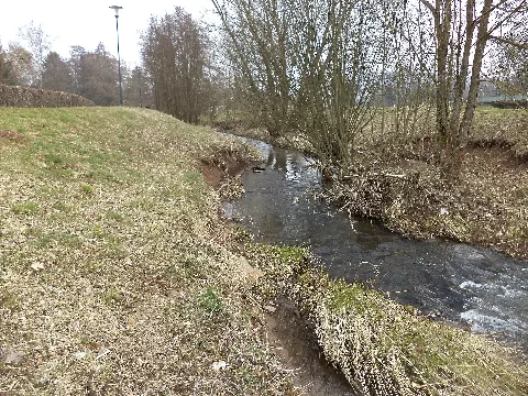 Elmbach