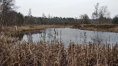 Elmpter Schwalmbruch Winter