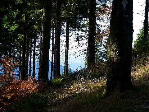 Enchanted Forest Panoramio