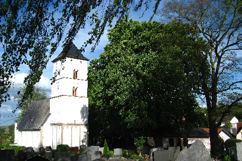 Engelstadt Nd 7339 088 Friedhofsbäume