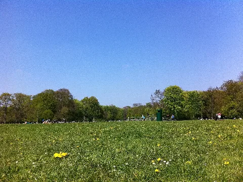 Englischer Garten (6028684092)