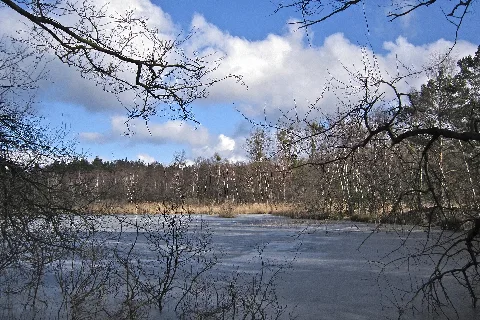 Entenweiher 4