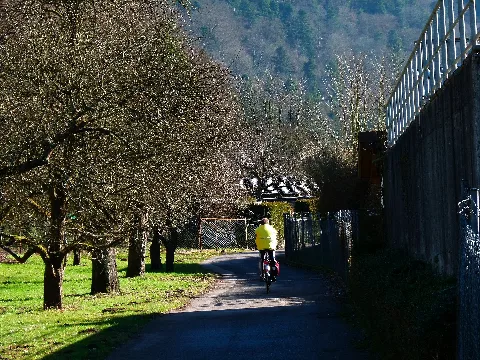 Environmentally Friendly Panoramio