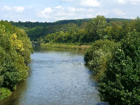 Enzmündung