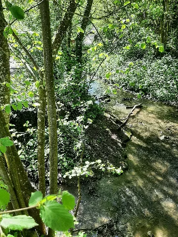 Epbach, Neuenstein 202105 01