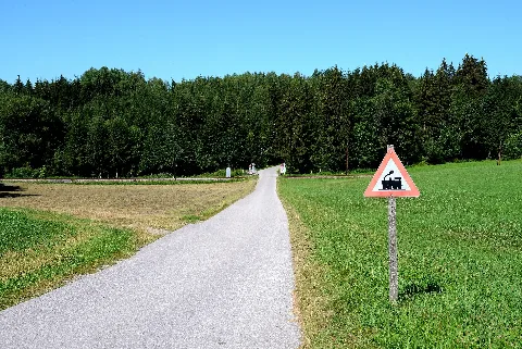 Erdmannsdorf Ek 25.025