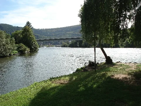 Erfmündung