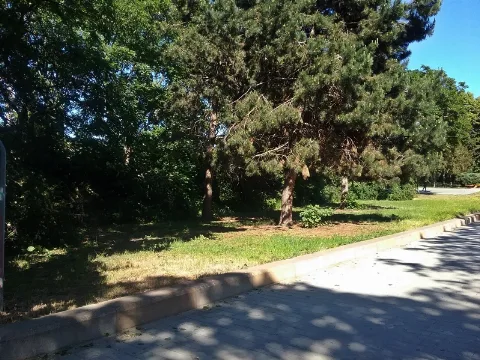 Erich Weinert Park (2)